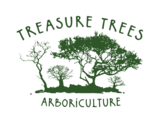 Treasure Trees Arboriculture
