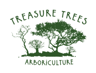 Treasure Trees Arboriculture